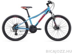 Giant XTC JR 1 Disc 24