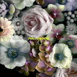 ALPINES FULL BLOOM