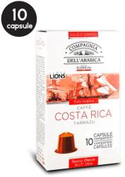 Caffe Corsini Costa Rica Tarrazu (10)