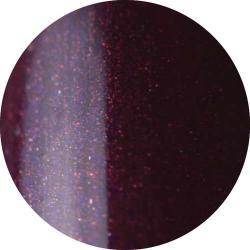 Brillbird Brush&Go színes zselé - GO 91 - 4, 5ml TF