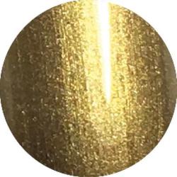 BRILLBIRD Contour Paint Gel 5 (gold) 5ml