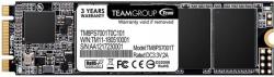 Team Group MS30 256GB M.2 SATA3 (TM8PS7256G0C101)
