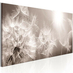 Artgeist Kép - Summer Dandelions 150x50