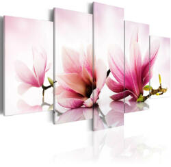 Artgeist Kép - Magnolias: pink flowers 100x50