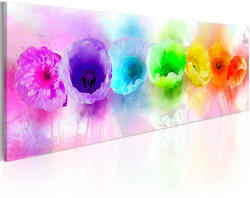 Artgeist Kép - Rainbow-hued poppies 120x40