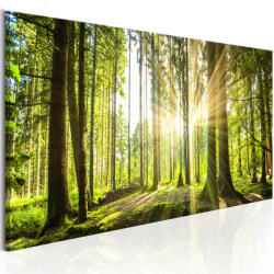 Artgeist Kép - Daylight 150x50