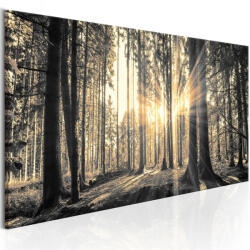 Artgeist Kép - Forest Sun 150x50