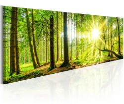 Artgeist Kép - Majestic Trees 135x45