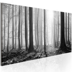 Artgeist Kép - Black and White Forest 150x50