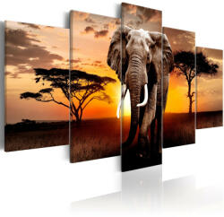 Artgeist Kép - Elephant Migration 200x100