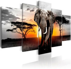 Artgeist Kép - Elephant at Sunset 200x100