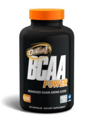 ISS Research BCAA 120 db