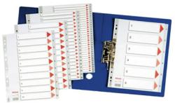 Esselte SEPARATOARE DIN PLASTIC ESSELTE A4 NUMERE 1-20 Separatoare plastic A4 Numere 1-20 (96002548)