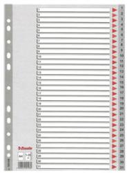 Esselte SEPARATOARE DIN PLASTIC ESSELTE A4 NUMERE 1-31 Separatoare plastic A4 Numere 1-31 (96002547)