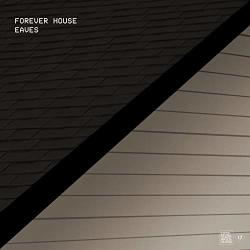 Forever House EAVES