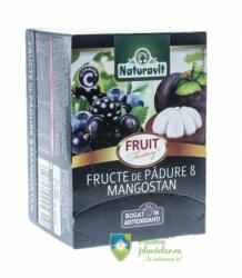 Naturavit Ceai Fruit Fantasy Fructe de padure si Mangostan 15 dz*2 gr