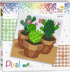 Pixelhobby Pixel 4 alaplapos szett - Kaktusz (44009)