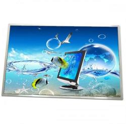 Samsung Display Samsung 10.1" LED LTL101AL06-003 pentru Tableta Samsung Galaxy GT-P5100 (LTL101AL06-003)