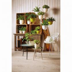 Soendgen Keramik Ghiveci ceramica, Barletta (SK-0754-0013-1591)