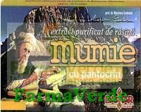 Damar General Trading Mumie Extract Rasina cu Pantocrin 60 cpr Damar General