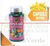 Hypericum Plant Hyper-Gas 60 Capsule Hypericum