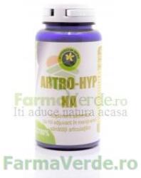 Hypericum Plant Artro Hyp HA 165 mg 60 capsule Hypericum Plant