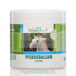 DARMAPLANT Gel racoritor Pferdebalsam 500 ml DarmaPlant