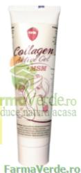 Magnacum Med GEL COLLAGEN ACTIVE + MSM 100 ml Magnacum Med