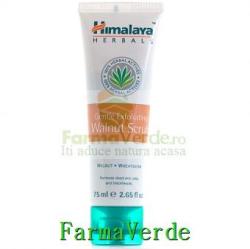 Himalaya Herbal Prisum Exfoliant delicat cu nuca 75 ml Puncte Negre  Himalaya Prisum (Crema abraziva pentru fata) - Preturi
