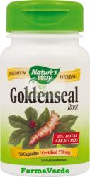  GoldenSeal 30 Capsule Antibiotic natural! Nature's Way Secom