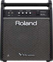 Roland PM-100 Monitor de scena
