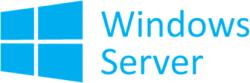 Microsoft Windows Server STD 2019 HUN P73-07791