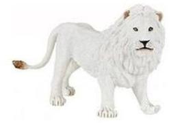 Papo Fehér hím oroszlán (50074)