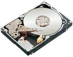 Seagate Constellation 500GB 64MB 7200rpm (ST9500620SS)