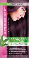 Marion Șampon nuanțator pentru păr cu aloe - Marion Color Shampoo With Aloe 66 - Wild Plum