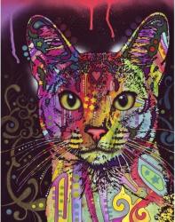 Heye Abyssinian 2000 db-os (29810)