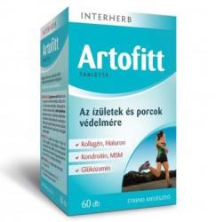 INTERHERB Artofitt tabletta 60 db