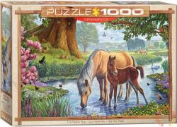 EUROGRAPHICS The Fell Ponies, Steve Crisp 1000 db-os (6000-0976)