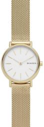 Skagen SKW2693 Ceas