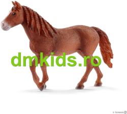 Schleich Cal Mare Morgan (13870) Figurina