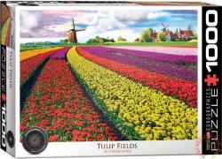 EUROGRAPHICS Tulip Fields, Netherlands 1000 db-os (6000-5326)