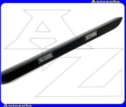 CITROEN JUMPER 3 2006.07-2013.12 Rendszámvilágítás "DOBOZOS" komplett 6350AX