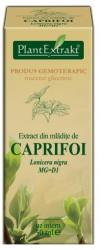 PlantExtrakt Extract din mladite de CAPRIFOI NEGRU, 50 ml, Plant Extrakt