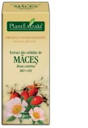 PlantExtrakt Extract din mladite de MACES, 50 ml, Plant Extrakt