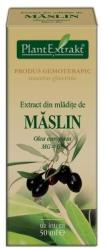 PlantExtrakt Extract din mladite de MASLIN, 50 ml, Plant Extrakt