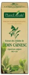 PlantExtrakt Extract din mladite de LEMN CAINESC, 50 ml, Plant Extrakt