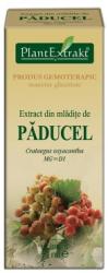 PlantExtrakt Extract din mladite de PADUCEL, 50 ml, Plant Extrakt