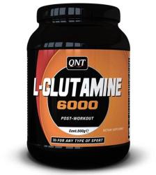 QNT L-Glutamine 6000 500 g