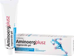 INTERHERB Aminoerg Plusz regeneráló gél 100 g