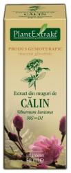 PlantExtrakt Extract din muguri de CALIN, 50 ml, Plant Extrakt